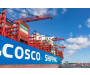 Trước Thềm Phí Cảng Mới Của USTR, Hãng tàu COSCO Cam Kết Duy Trì Dịch Vụ Ổn Định Tại Thị Trường Mỹ